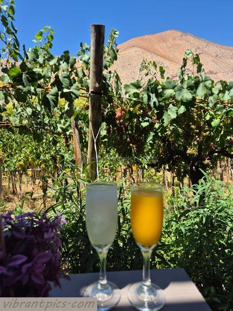 3fda0935-9fed-40f3-9715-506dd12793c5sm