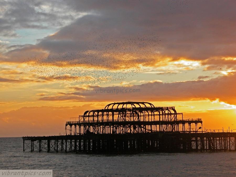brighton pier 900×675