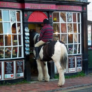 Shopping Horse