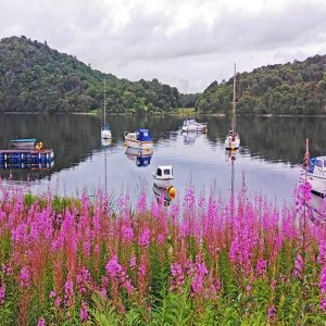 Loch Lomond